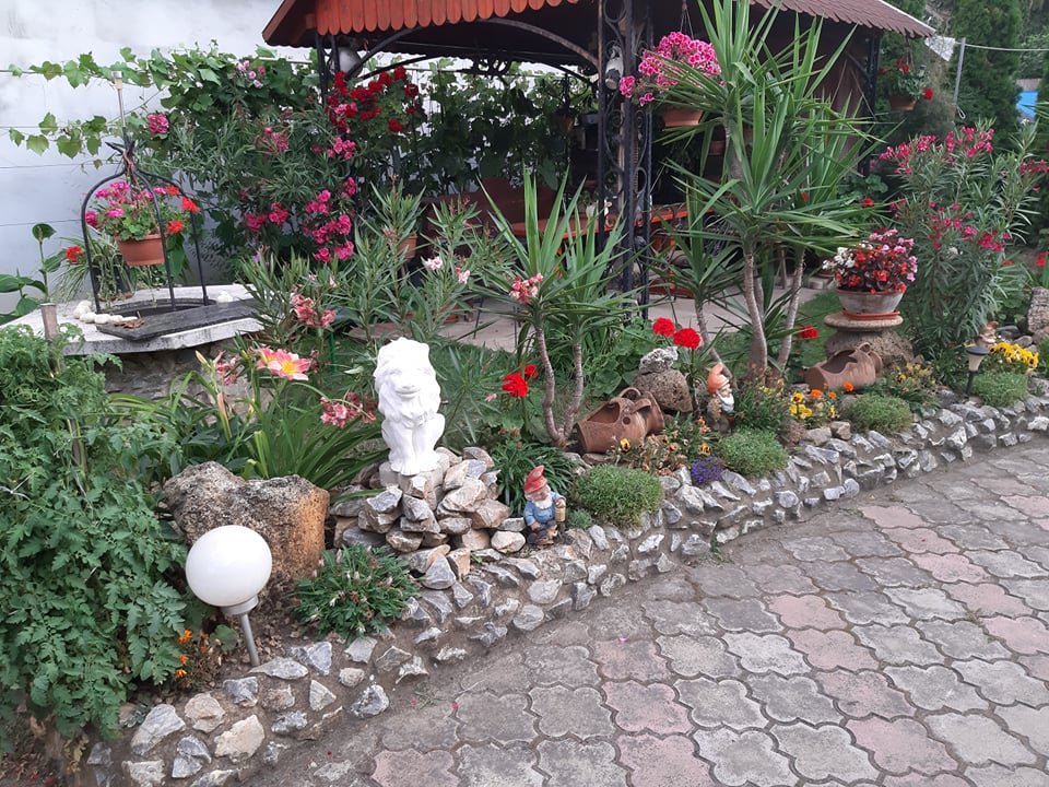 Papp Magdolna kertej 02